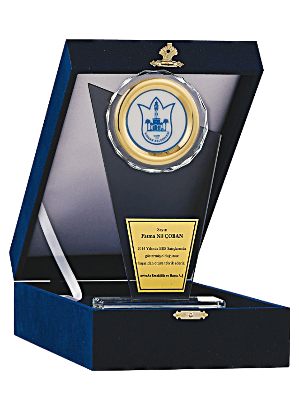Kristal Plaket T31