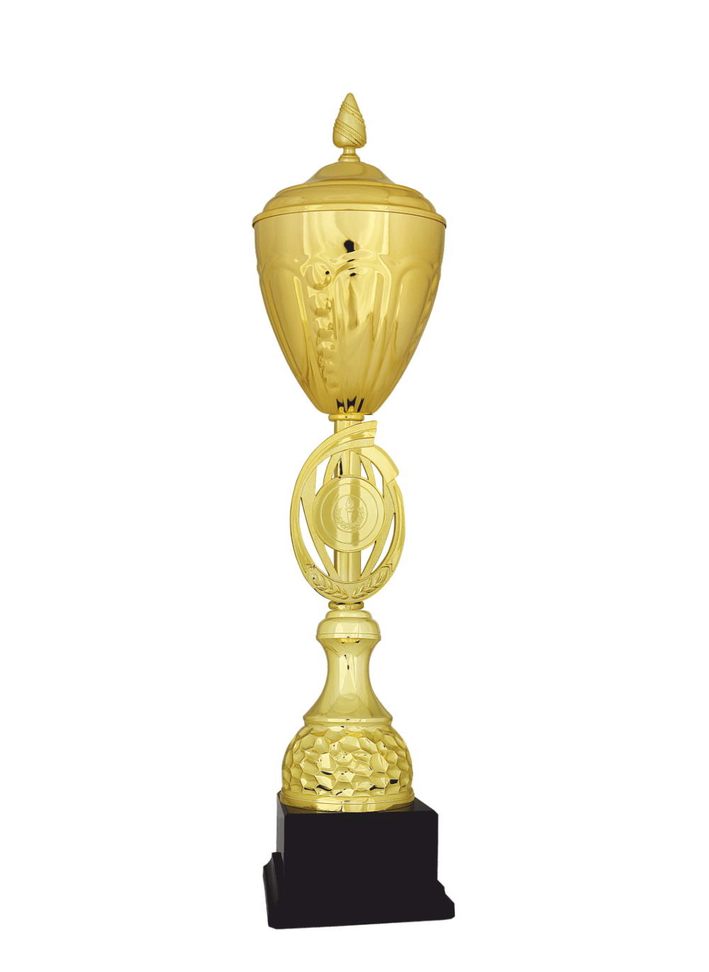 Büyük Kupa R31-B