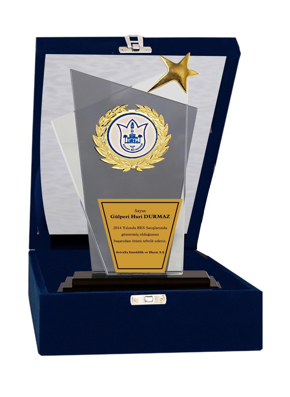 Kristal Plaket T9