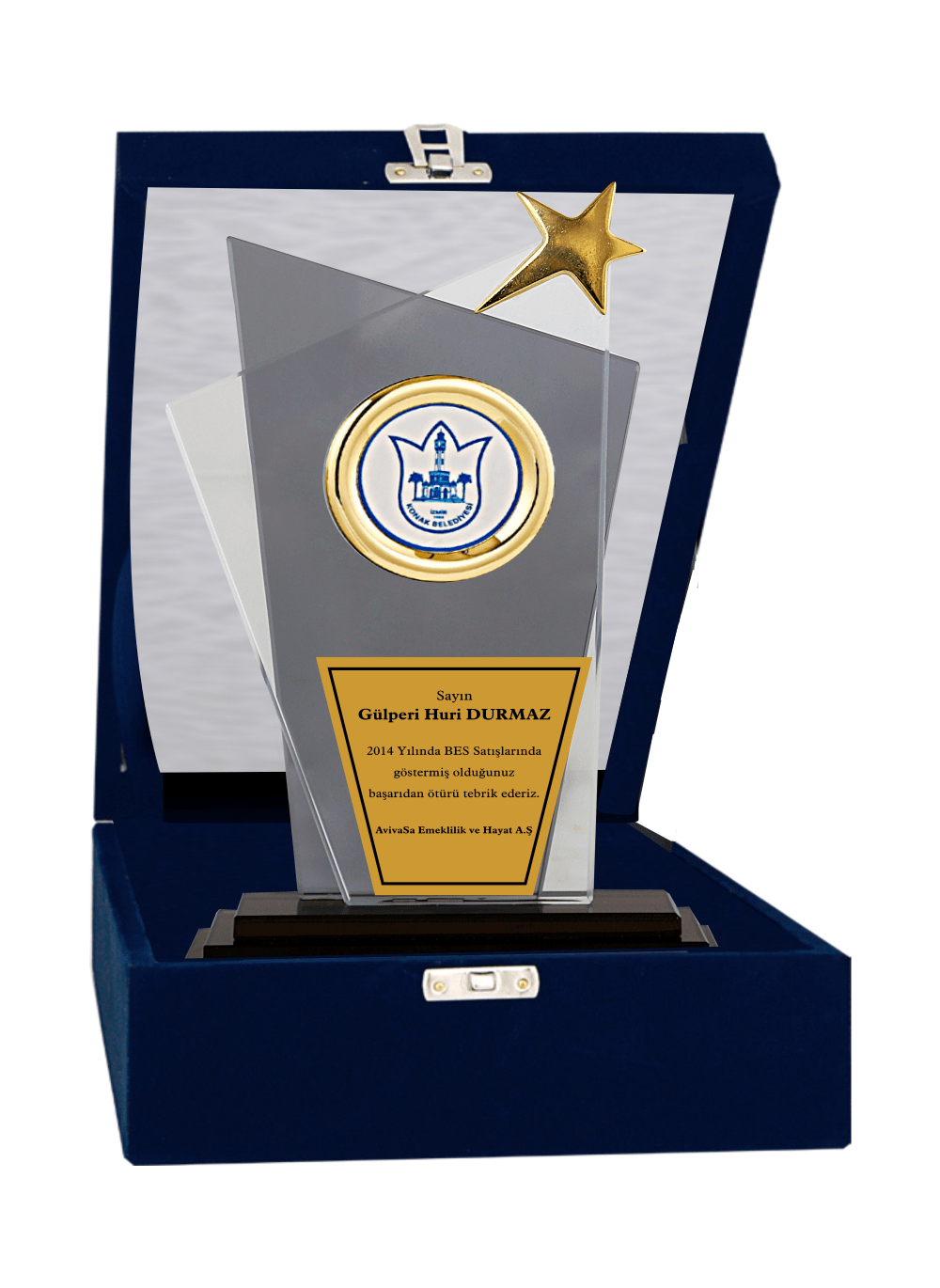 Kristal Plaket T13