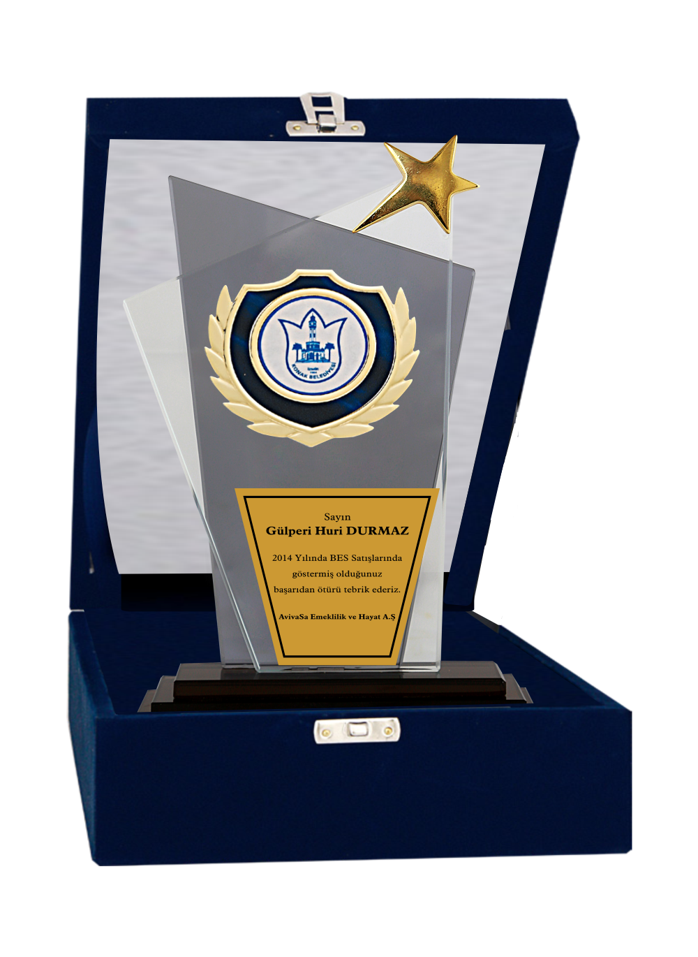 Kristal Plaket T19